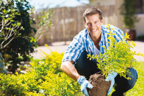 Landwirtschaftlich-technische/r Assistent/in