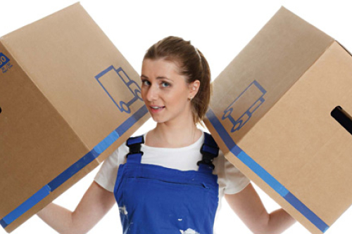 Fachlagerist/in(m/w/d) Fachlagerist/in(m/w/d)