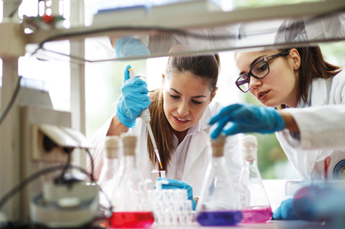 Biologielaborant/in(m/w/d) Biologielaborant/in(m/w/d)