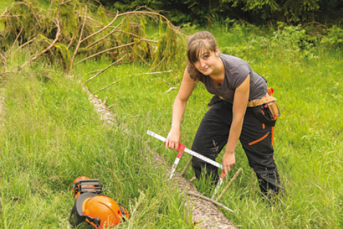 Forstwirt/in (m/w/d) Forstwirt/in (m/w/d)