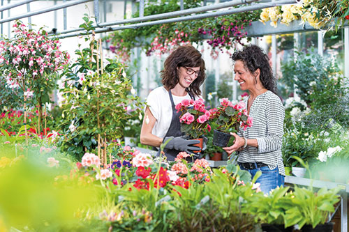 Gärtner/in - Zierpflanzenbau(m/w/d) Gärtner/in - Zierpflanzenbau(m/w/d)