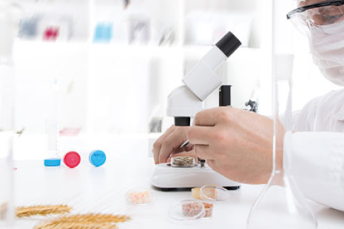 Landwirtschaftlich-technische/r Assistent/in(m/w/d) Landwirtschaftlich-technische/r Assistent/in(m/w/d)