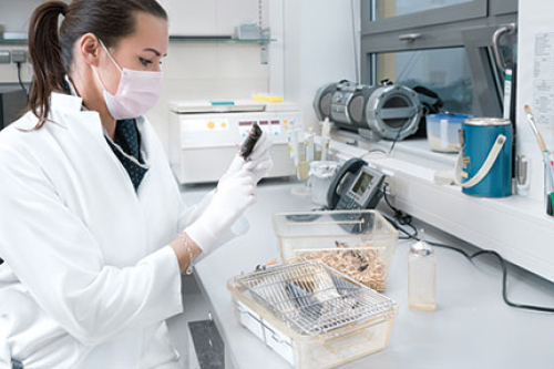 Tierpfleger/in - Forschung und Klinik(m/w/d) Tierpfleger/in - Forschung und Klinik(m/w/d)